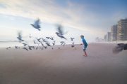 Boy Chasing Birds