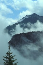Mountain Top Serenity - Mount Rainier