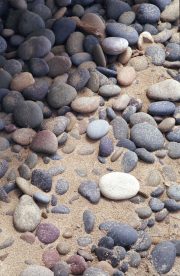 Pacific Ocean Beach Pebbles
