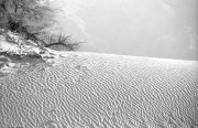 Death Valley Sand Ripples